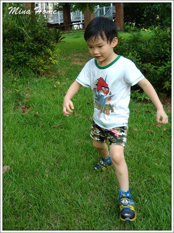 20170724_79.jpg 20170724_79.jpg