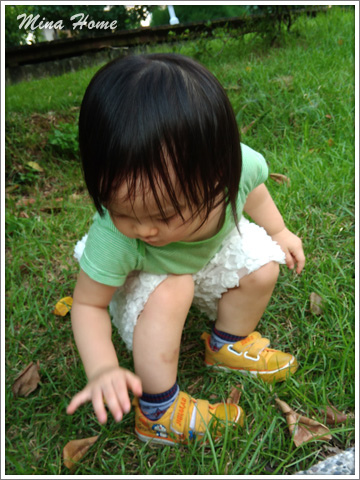 20170724_76.jpg 20170724_76.jpg