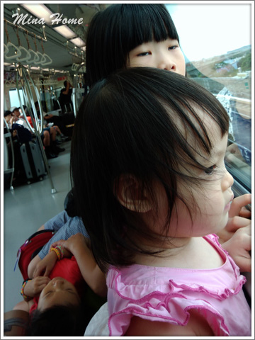 20170810_25.jpg 20170810_25.jpg