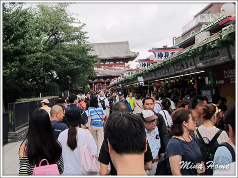 20170811_33.jpg 20170811_33.jpg