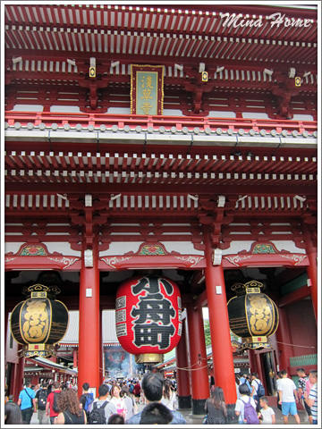 20170811_36.jpg 20170811_36.jpg