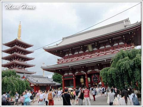 20170811_53.jpg 20170811_53.jpg