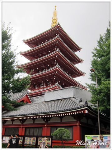 20170811_50.jpg 20170811_50.jpg