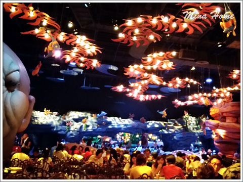 20170819_61.jpg 20170819_61.jpg