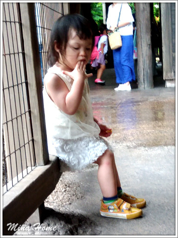 20170819_67.jpg 20170819_67.jpg