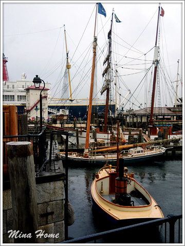 20170819_97.jpg 20170819_97.jpg