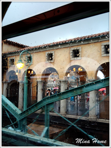 20170819_110.jpg 20170819_110.jpg