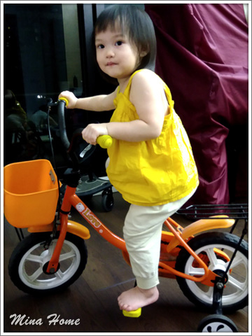 20170913_52.jpg 20170913_52.jpg