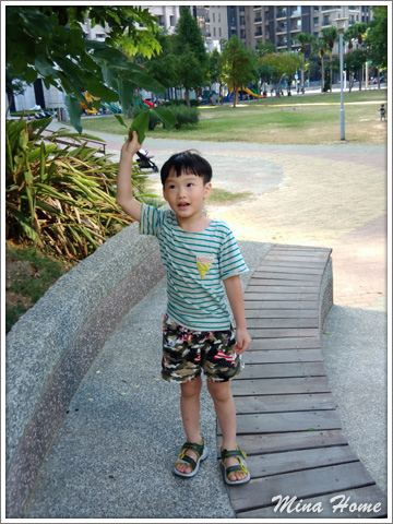 20171127_12.jpg 20171127_12.jpg