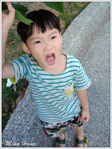 20171127_13.jpg 20171127_13.jpg