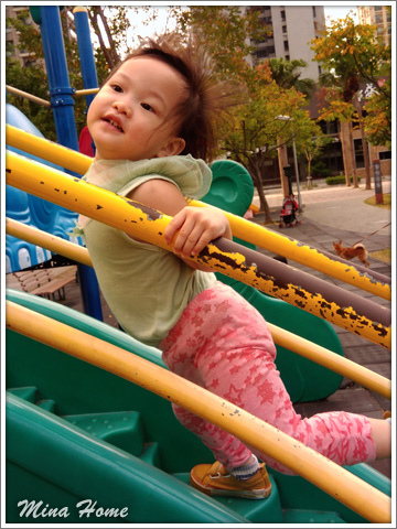 20171127_22.jpg 20171127_22.jpg