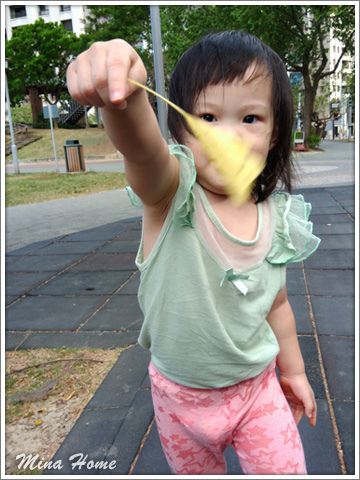 20171127_37.jpg 20171127_37.jpg