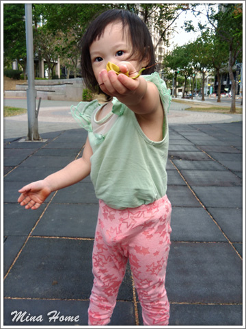 20171127_35.jpg 20171127_35.jpg