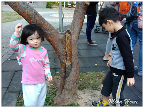 20171230_35.jpg 20171230_35.jpg