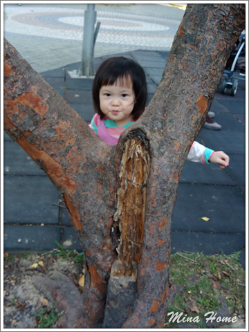 20171230_33.jpg 20171230_33.jpg