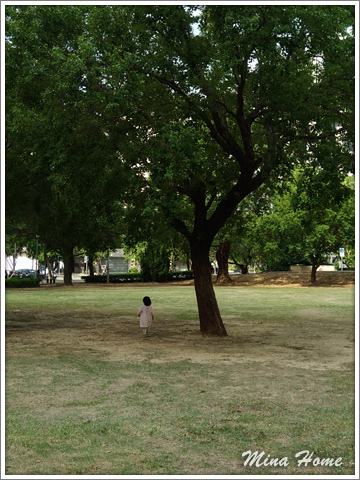 20171230_73.jpg 20171230_73.jpg