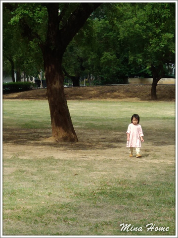 20171230_71.jpg 20171230_71.jpg