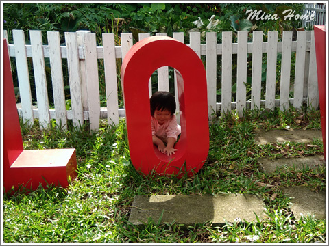 20180116_37.jpg 20180116_37.jpg