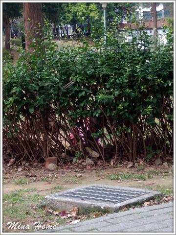 20180326_06.jpg 20180326_06.jpg