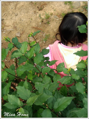 20180326_07.jpg 20180326_07.jpg