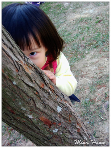 20180402_35.jpg 20180402_35.jpg