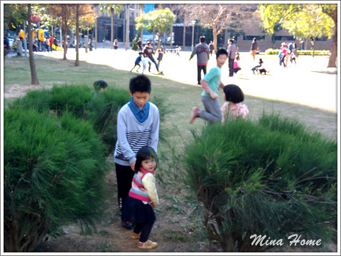 20180402_32.jpg 20180402_32.jpg