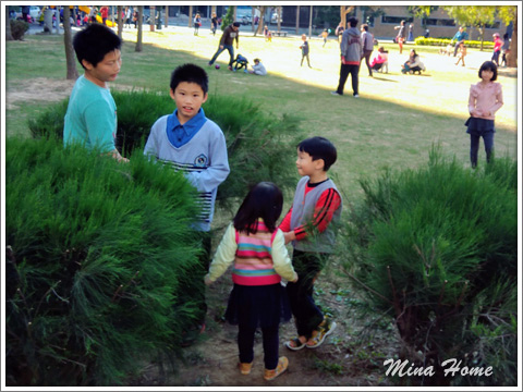 20180402_31.jpg 20180402_31.jpg