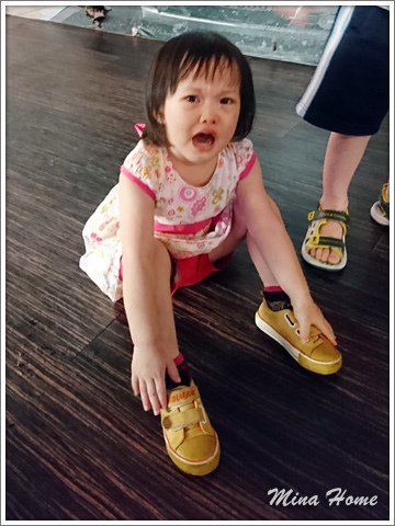 20180417_38.jpg 20180417_38.jpg