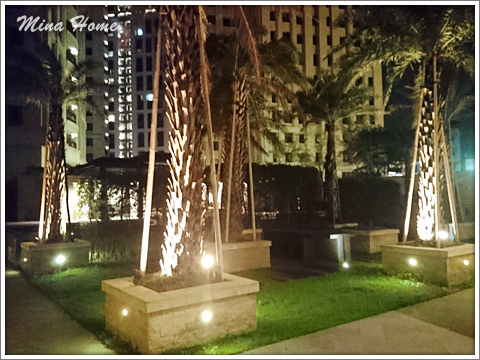 20180417_50.jpg 20180417_50.jpg