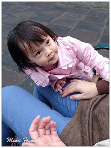 20180419_34.jpg 20180419_34.jpg