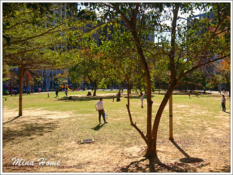 20180424_05.jpg 20180424_05.jpg