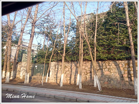 20180424_32.jpg 20180424_32.jpg