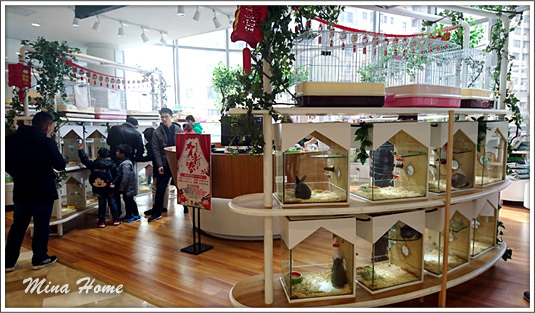 20180424_43.jpg 20180424_43.jpg