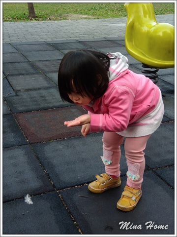 20180511_31.jpg 20180511_31.jpg