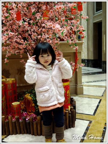 20180515_01.jpg 20180515_01.jpg