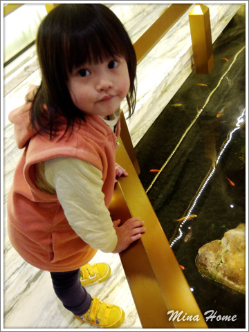 20180515_06.jpg 20180515_06.jpg