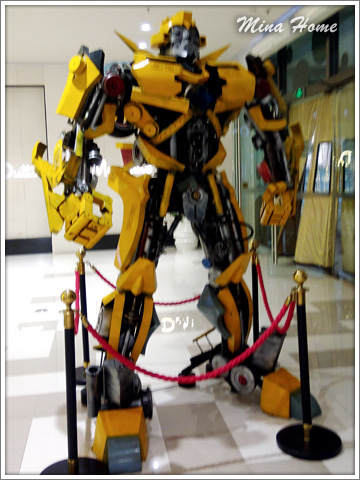 20180515_35.jpg 20180515_35.jpg