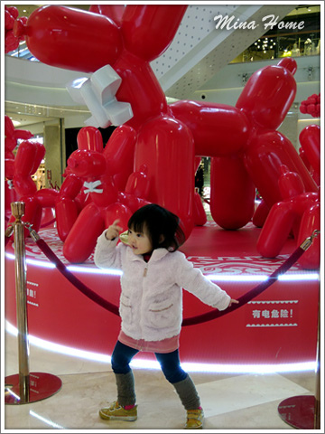 20180515_40.jpg 20180515_40.jpg