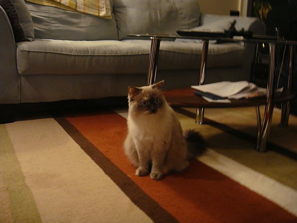 DSC02763.JPG DSC02763.JPG