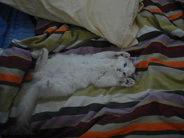 DSC03104.JPG DSC03104.JPG