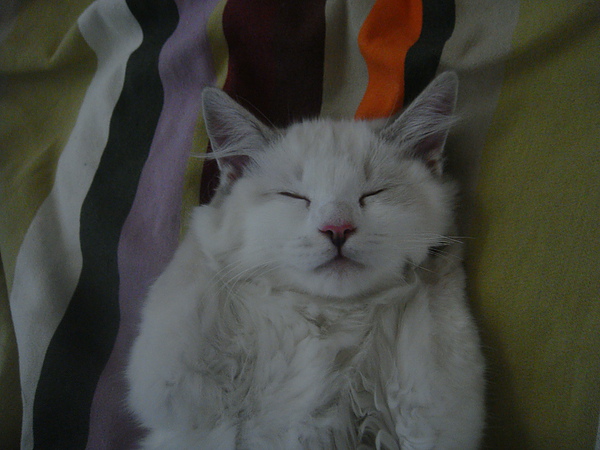 DSC03118.JPG DSC03118.JPG