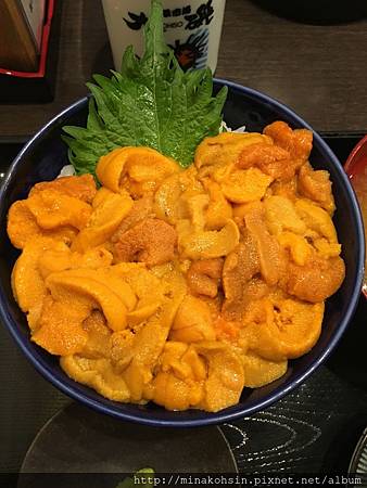 大磯01.JPG