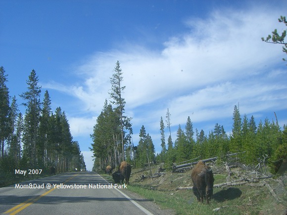 Yellowstone02.jpg