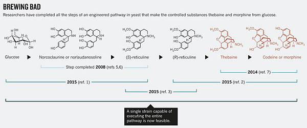 opiate reactions.jpg opiate reactions.jpg