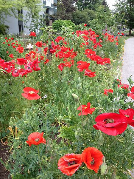 IMG_3557.JPG IMG_3557.JPG