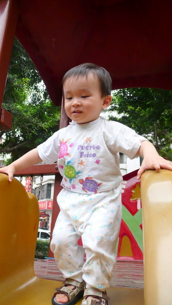 P1060590.JPG