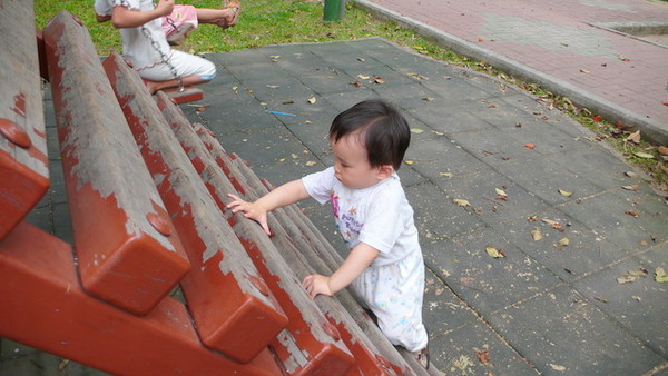 1435140665.jpg