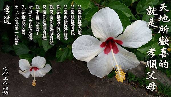 74232810_10212377606194048_4270004340485259264_o 74232810_10212377606194048_4270004340485259264_o