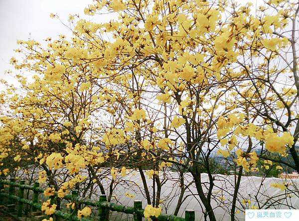 MYXJ_20170323194028_save.jpg MYXJ_20170323194028_save.jpg