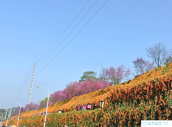 DSC_1638.jpg DSC_1638.jpg